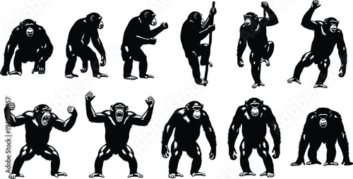 Black Chimpanzee Silhouette Collection Set with Various Poses Including Climbing Sitting Standing and Screaming Isolated on White Background for Wildlife Nature and Vector Design