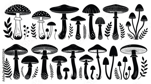 Mushroom silhouettes collection with forest fungi varieties, botanical nature icons, vector illustration set of different mushroom shapes, suitable for educational, ecological, and natural science