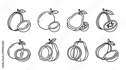 Assorted Tropical Fruits Line Art Collection Whole and Halved Simple Vector Illustrations