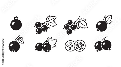 Blackcurrant Berry Icons Vector Set Isolated on White Background Simple Graphic Elements