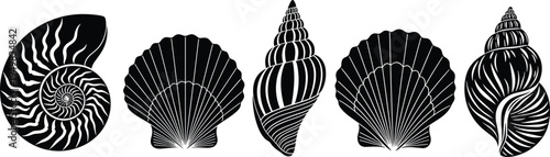 Detailed Sea Shell Silhouette Set Featuring Scallop Nautilus And Snail Shells For Summer Beach Decoration Nautical Marine Life Travel And Coastal Ocean Inspired Graphic Design