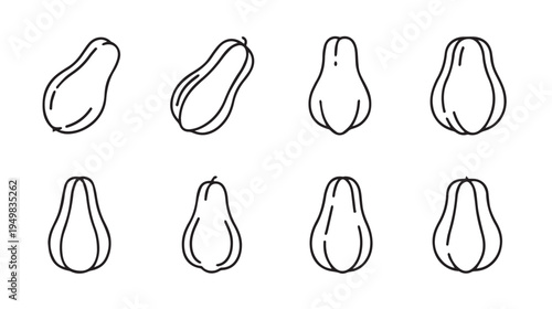 Chayote Squash Outline Icons Set Simple Line Art Vegetable Illustrations Food Graphics