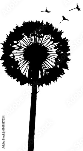 Black and White Minimalist Dandelion Silhouette with Flying Seeds Vector Illustration for Graphic Design
