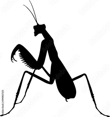 Black Praying Mantis Silhouette Vector Illustration Isolated on White Background