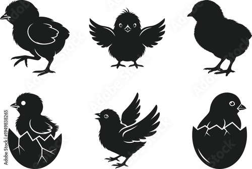 Baby Chick Silhouette Set with Hatching Egg Spring Farm Vector