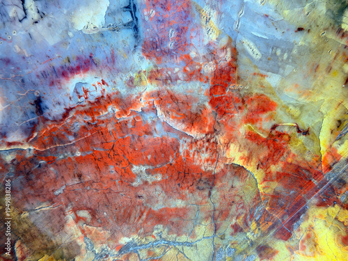 fossilized ancient algae in close-up. paleobotanical findings and research. ancient marine life. beautiful ancient texture.