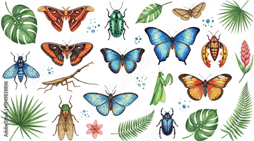 Colorful tropical insects and butterflies collection with beetles moths mantis cicada and jungle leaves botanical nature vector illustration set