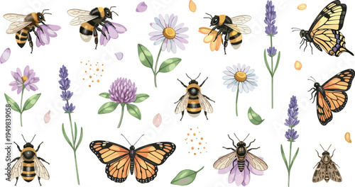 Hand drawn bees butterflies and wildflowers collection with lavender daisy clover botanical elements isolated decorative nature vector illustration set