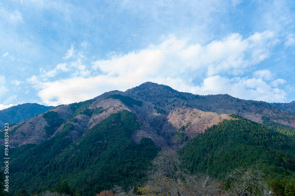 Obraz premium 日本の山