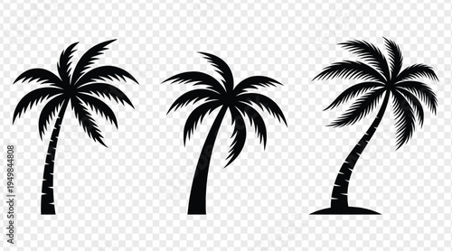 Collection of three stylized black palm trees with fronds and trunks isolated on a transparent background representing summer and tropical destinations