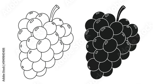 A simple black and white illustration depicts two bunches of grapes one light and one dark showcasing tonal contrast high quality