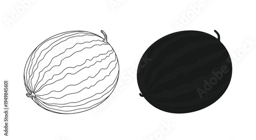 A side by side illustration depicts a watermelon in both a detailed line drawing and a solid black silhouette high quality