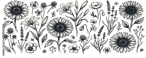 Flower abstract hand drawn brush ink or chalk stroke. Sketch hand drawn silhouette floral plant, leaf grunge abstract vector illustration. Simple flower, leaf charcoal, pencil, crayon style elements.