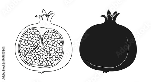 A detailed black and white illustration depicts two pomegranates one cut open showcasing seeds and the other whole high quality professional