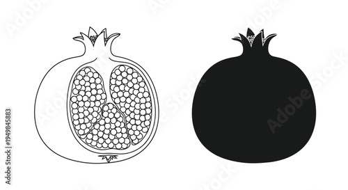 A black and white illustration showcases a halved pomegranate alongside a fully intact darkened version high quality professional detailed modern elegant