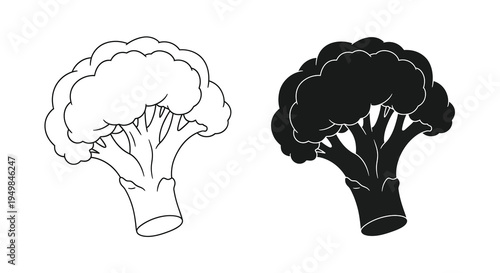 A simple black and white illustration depicts two broccoli florets one white and one black showcasing contrasting forms high quality professional