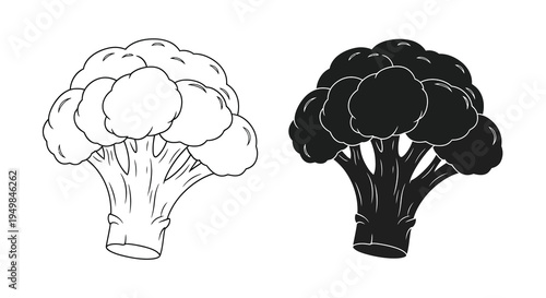 A contrasting pair of broccoli illustrations one light and one dark showcasing the vegetable s form high quality professional detailed