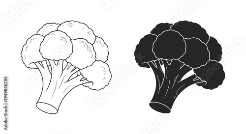 A detailed illustration showcases two broccoli florets one in a white outline and the other shaded dark green