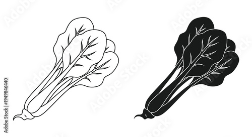 A black and white line art illustration depicts two bunches of bok choy showcasing the vegetable s distinct leaf structure