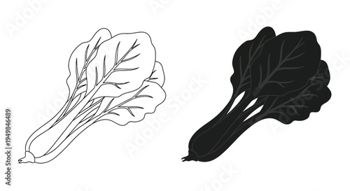 A minimalistic black and white illustration depicts two bunches of leafy greens likely bok choy in contrasting tones high quality professional