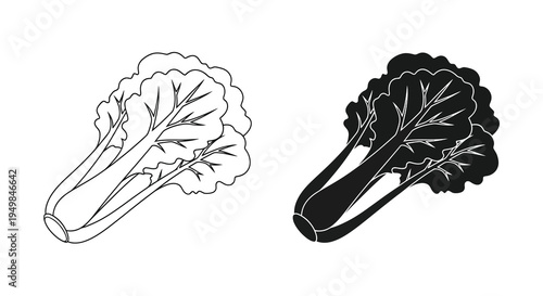 A detailed black and white illustration showcases two bok choy plants one with line art and the other fully shaded