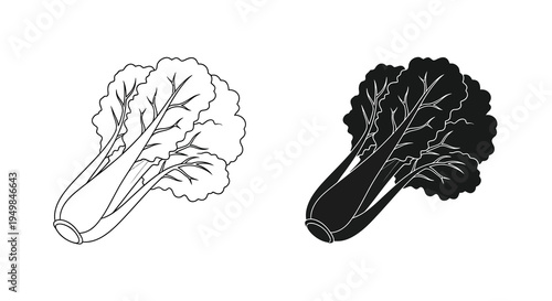 A simple black and white illustration depicts two bok choy plants showcasing positive and negative space techniques high quality professional detailed
