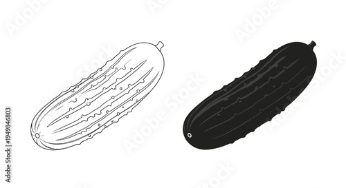A graphic illustration depicts two cucumbers in contrasting styles one with line art and the other fully shaded