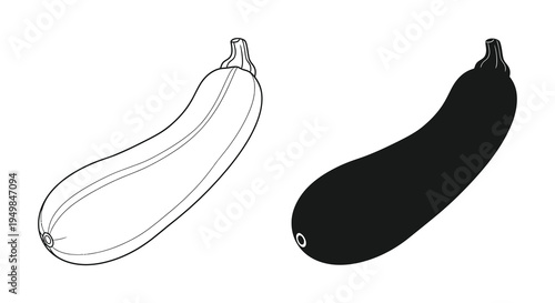 A contrasting depiction of a zucchini one as a line drawing and the other as a solid shaded form