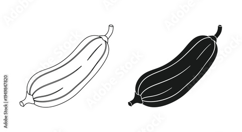 A black and white line drawing depicts two cocoa pods showcasing their elongated shape and ribbed texture in contrasting tones