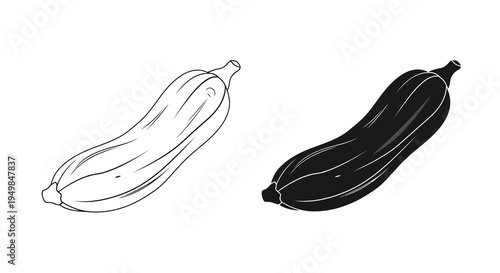 A minimalist black and white illustration depicts two stylized zucchini squash showcasing their elongated shapes and ribbed textures high quality professional
