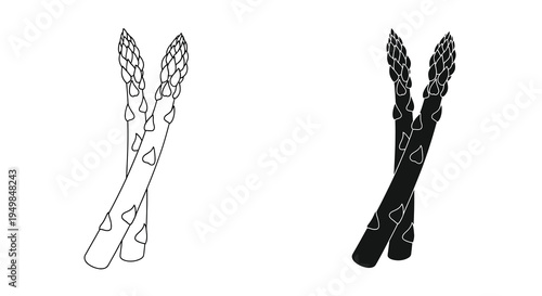 A simple illustration depicts two stalks of asparagus one lighter and one darker showcasing a minimalist design high quality