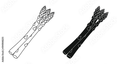 A minimalist illustration depicts two bundles of fresh asparagus stalks rendered in contrasting line art styles high quality professional