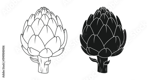 A detailed black and white illustration showcases two artichokes one light and one dark emphasizing their unique textures