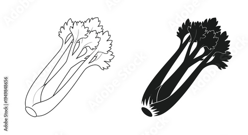 A detailed black and white illustration showcases two stalks of celery one with shading and one as a silhouette high quality