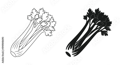A detailed black and white illustration showcases two bunches of celery one with linear shading and one solid black high quality