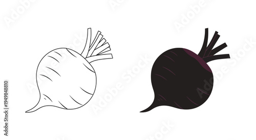A contrasting depiction of a beetroot is shown with one image in black and white line art and the other fully shaded