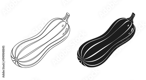 A detailed black and white illustration depicts two gourds one with a line art style and the other fully shaded