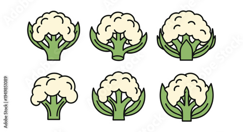 Cauliflower Floret Line art smooth modern abstract illustration