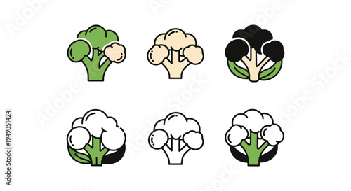 Cauliflower Head Line art contemporary abstract color vector