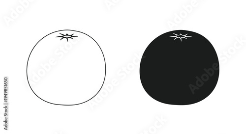 A stark contrast is presented with two circular forms one white and one black each featuring a small dark star shaped detail