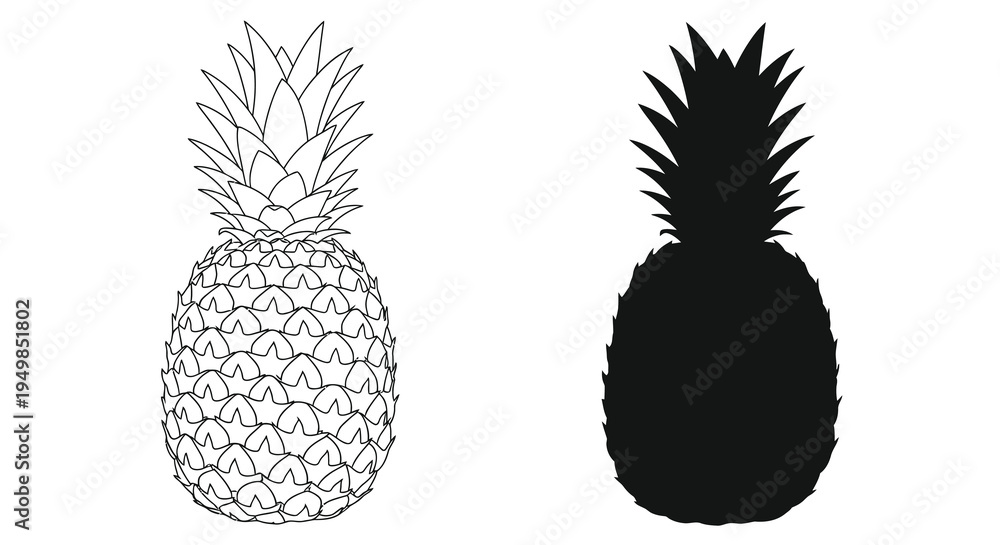 Obraz premium Two pineapple illustrations are presented one with detailed line work and the other a solid black silhouette high quality