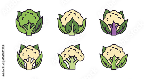 Cauliflower Line art vector dynamic modern artistic abstract illustration