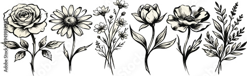 Flower abstract hand drawn charcoal, ink or chalk drawing. Sketch hand drawn silhouette floral plant, leaf grunge abstract vector illustration. Simple flower, pencil, crayon style elements