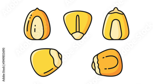 Corn Kernel Line art vector minimal bold abstract illustration
