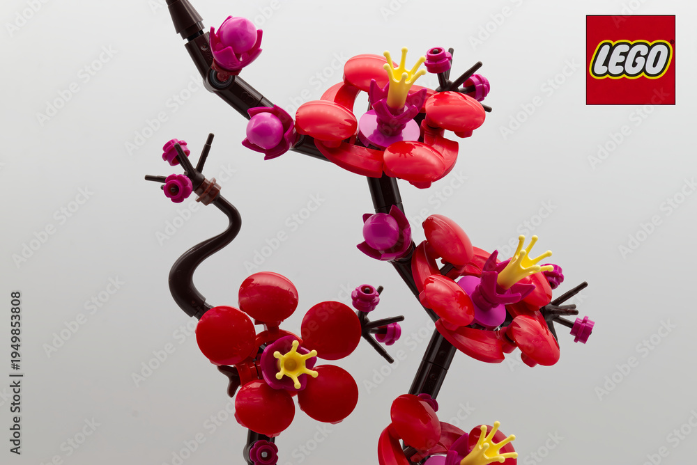 Obraz premium Bologna - Italy - March 3, 2026: LEGO Botanicals Plum Blossom.