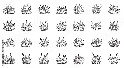 Hand drawn grass bushes and reeds set collection in sketch style vector illustration