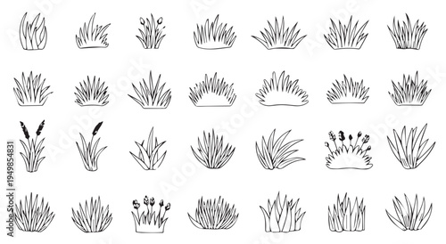 Hand drawn grass bushes and meadow plants sketch vector set collection