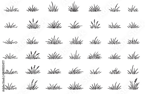 Hand drawn ink grass bushes and wild meadow plant silhouette vector set