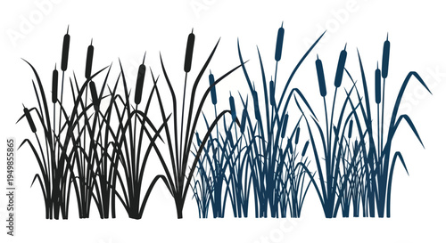 Silhouette of Cattails Reeds on White Background, Nature Plant Illustration