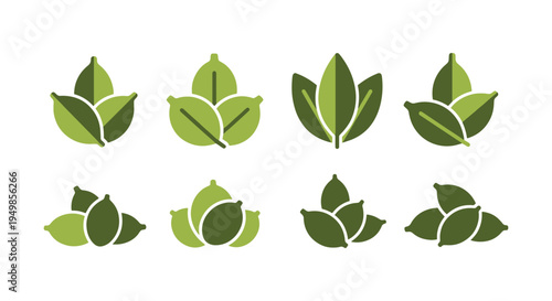 Cardamom Green Line art vector modern fluid color